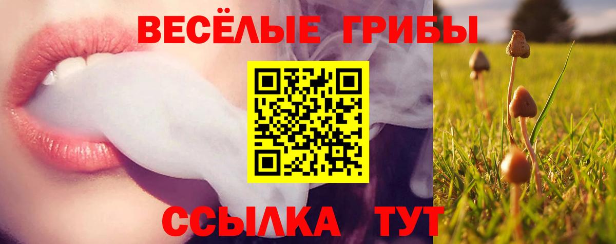 Нижний Тагил  Галлюциногенные грибы MAGIC MUSHROOMS  Вход с VPN 